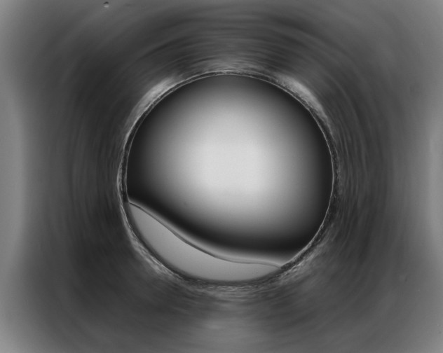 X0000087310946200704200715