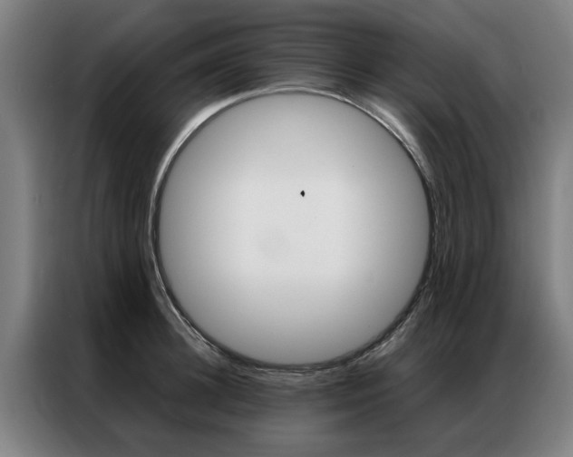X0000087310948200704200715