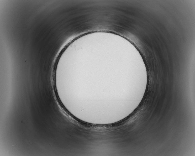 X0000087310950200704200715