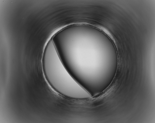 X0000087310951200704200715