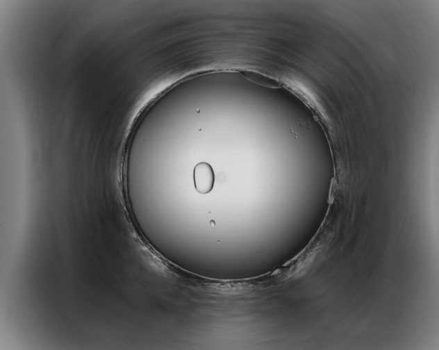 X0000087310952200704200715