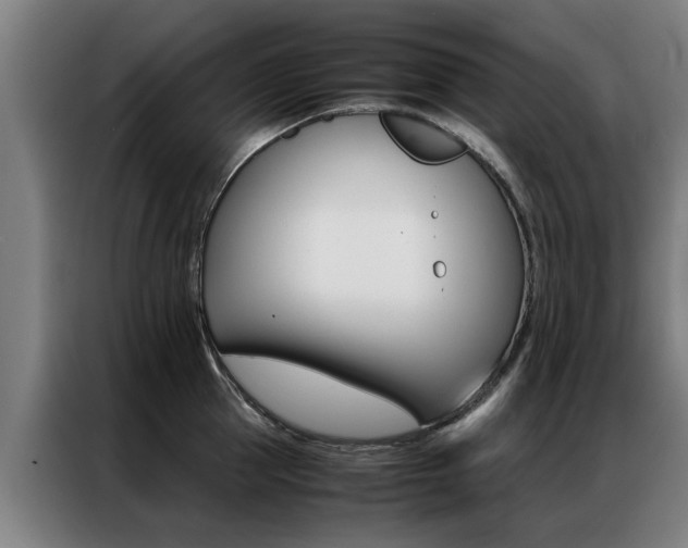 X0000087310953200704200715