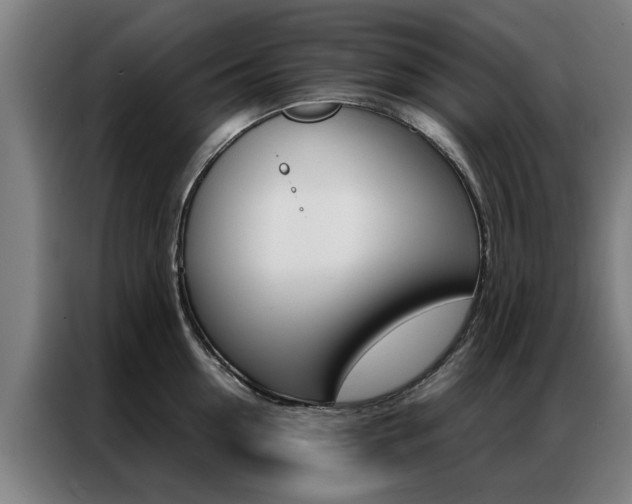 X0000087310954200704200715