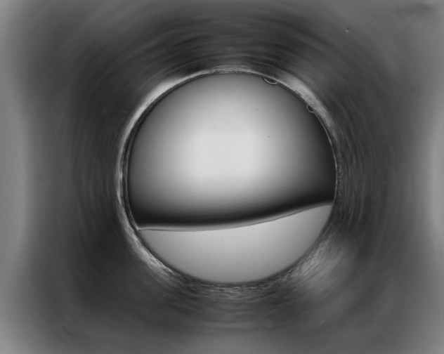 X0000087310955200704200715