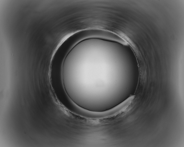 X0000087310956200704200715