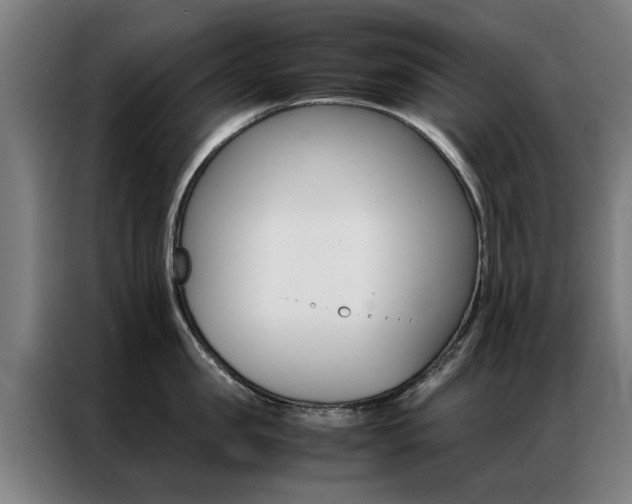 X0000087310957200704200715