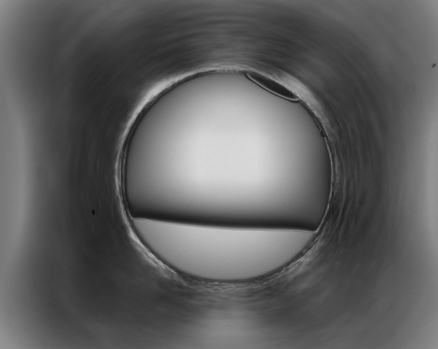 X0000087310958200704200715