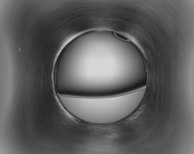 X0000087310959200704200715