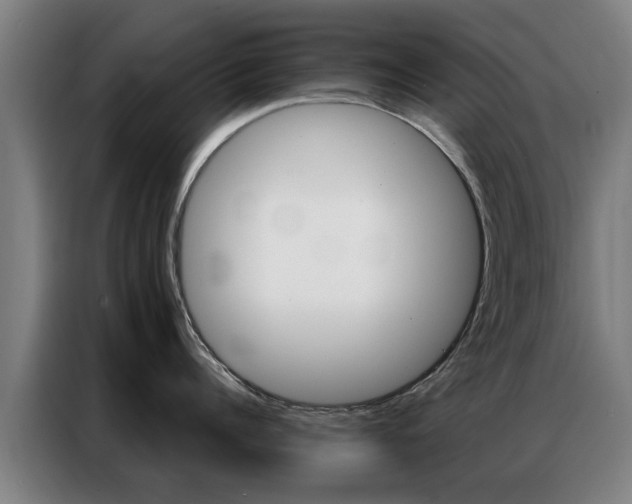 X0000087310960200704200715