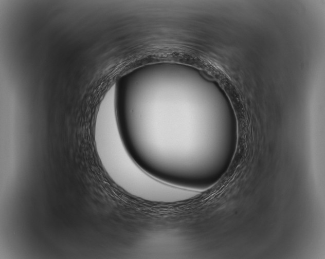 X0000087310965200704200714