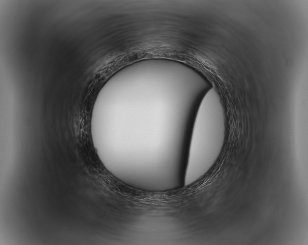 X0000087310966200704200714