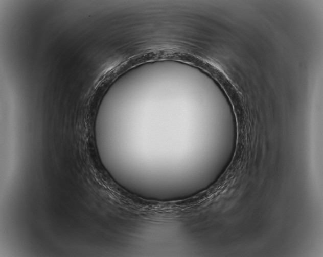 X0000087310967200704200714