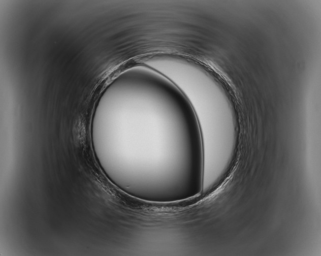 X0000087310969200704200714