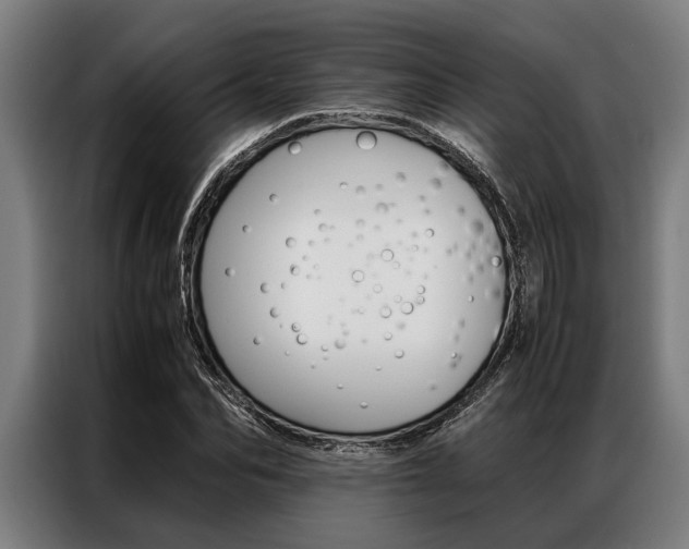 X0000087310974200704200714