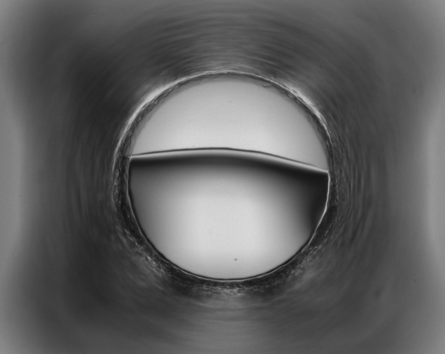 X0000087310975200704200714