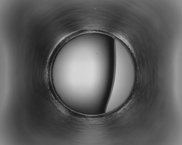 X0000087310976200704200714