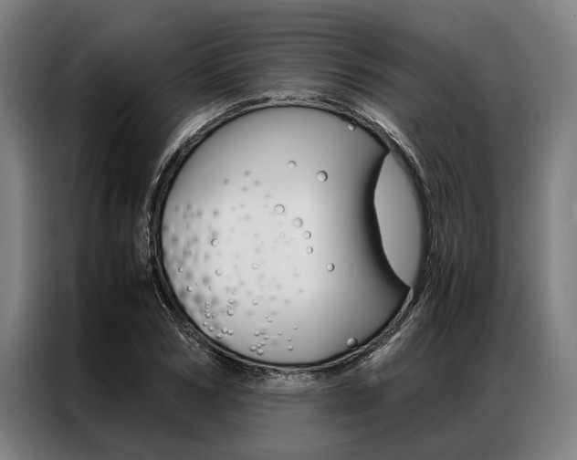 X0000087310978200704200714