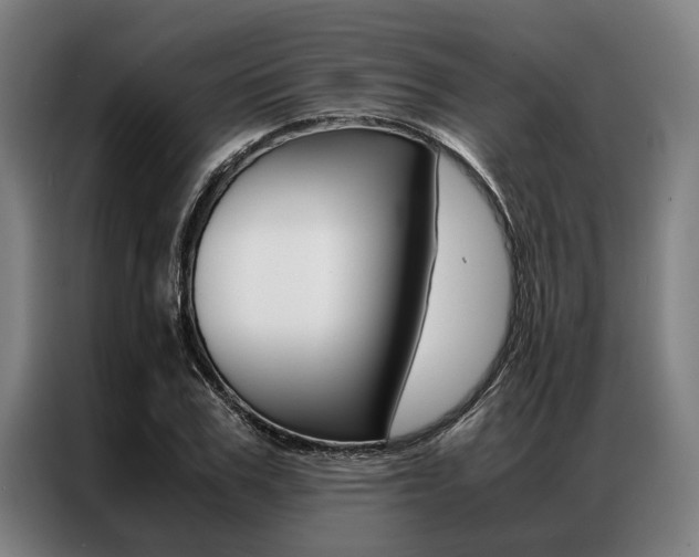 X0000087310979200704200714