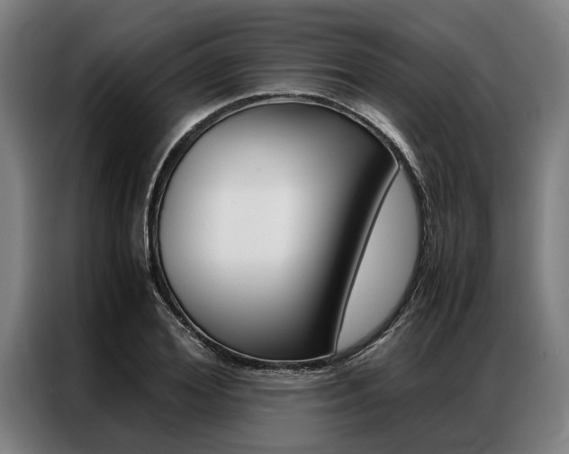 X0000087310980200704200714