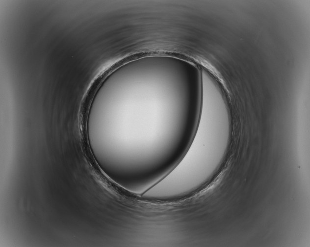X0000087310981200704200714