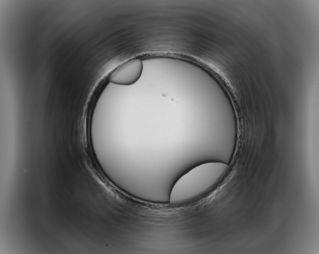 X0000087310982200704200714