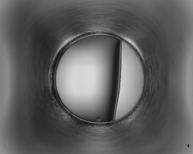 X0000087310983200704200714