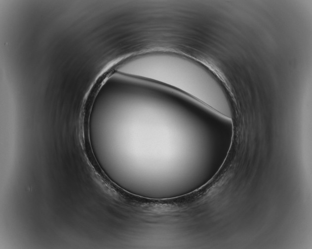 X0000087310984200704200714