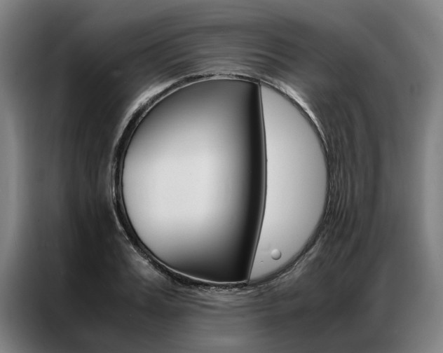 X0000087310987200704200714