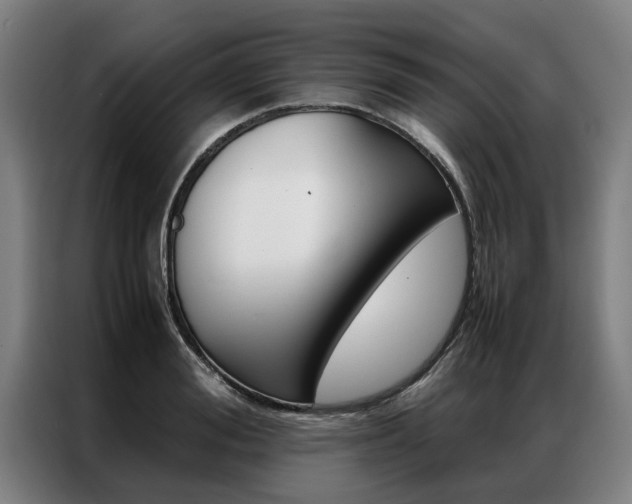 X0000087310988200704200714