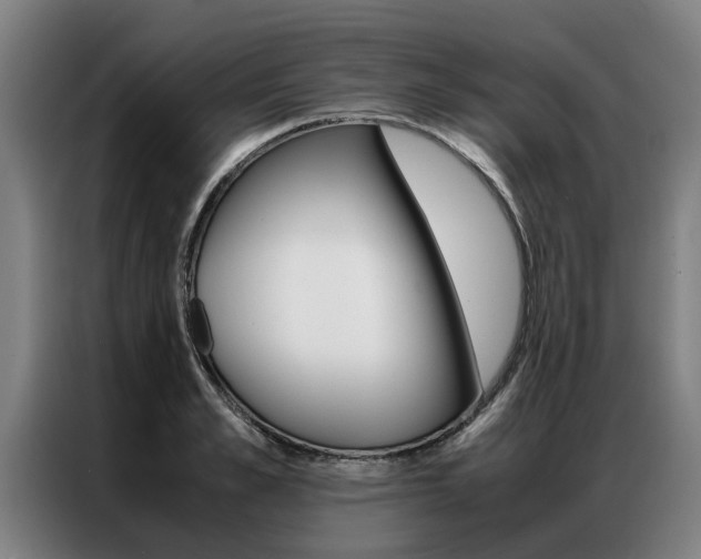 X0000087310989200704200714