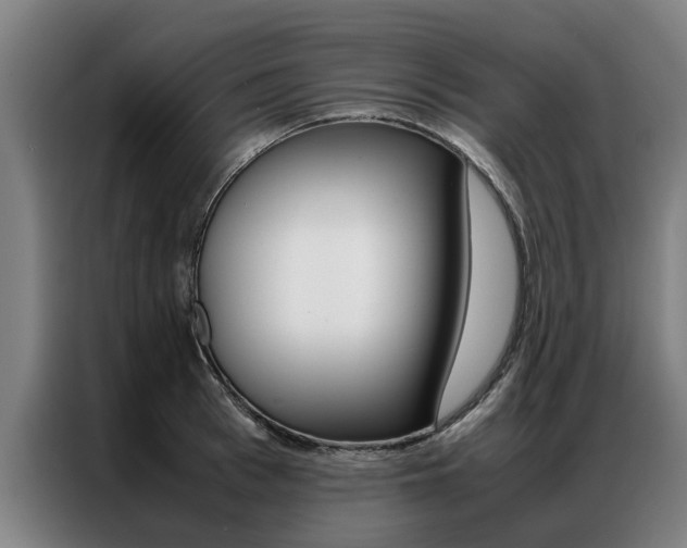 X0000087310993200704200714