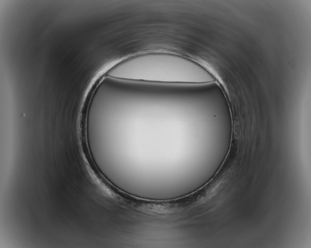 X0000087310995200704200714