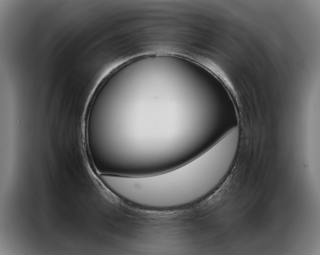 X0000087310996200704200714