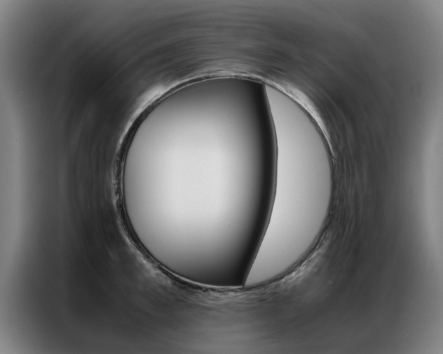 X0000087310997200704200714
