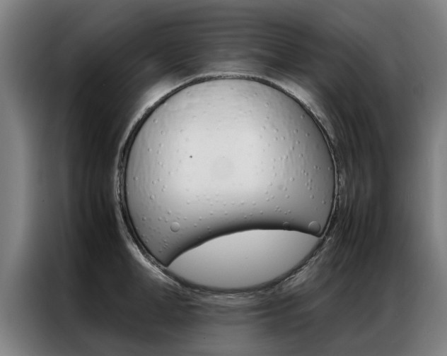 X0000087310998200704200714