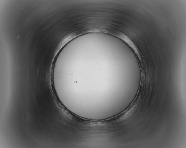 X0000087311002200704200714