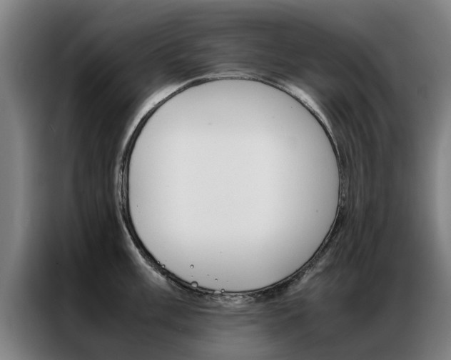 X0000087311003200704200714
