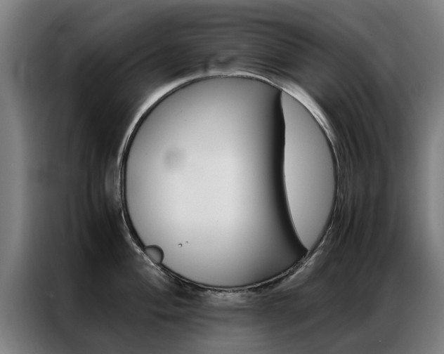 X0000087311004200704200714