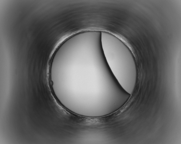 X0000087311006200704200714