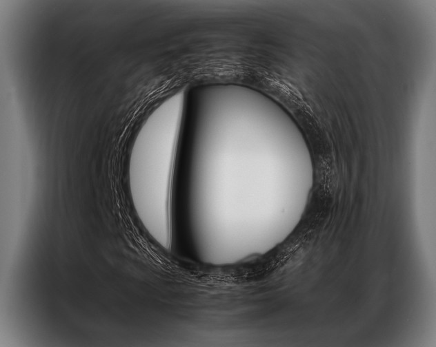X0000087311009200704200713