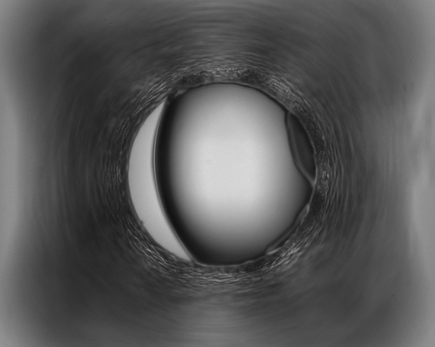 X0000087311010200704200713