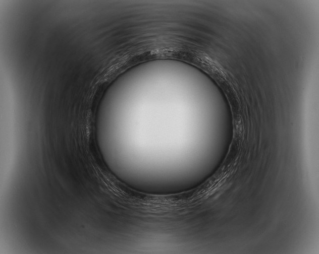 X0000087311012200704200713
