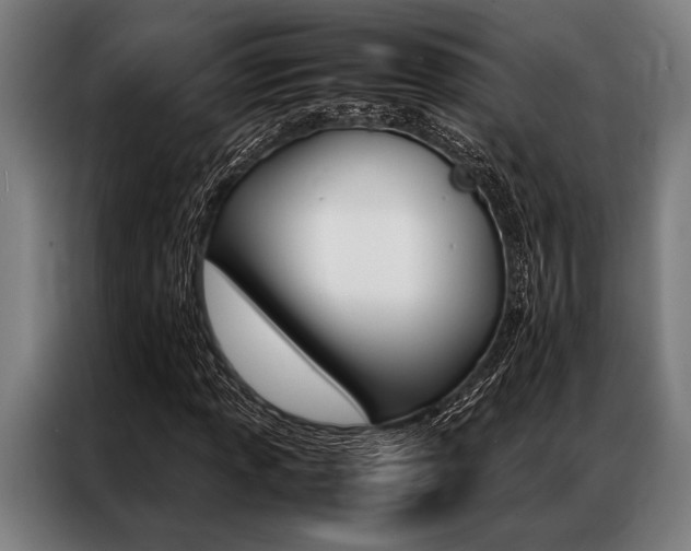 X0000087311013200704200713