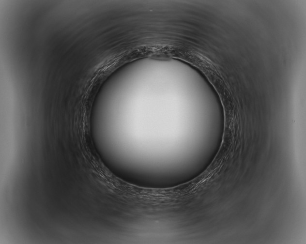 X0000087311014200704200713