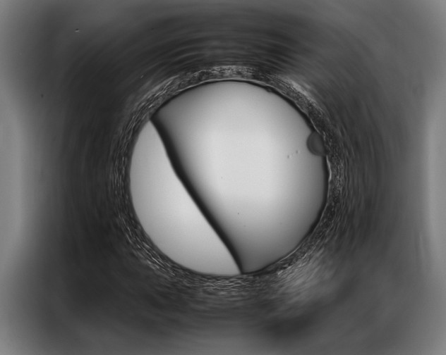 X0000087311015200704200713