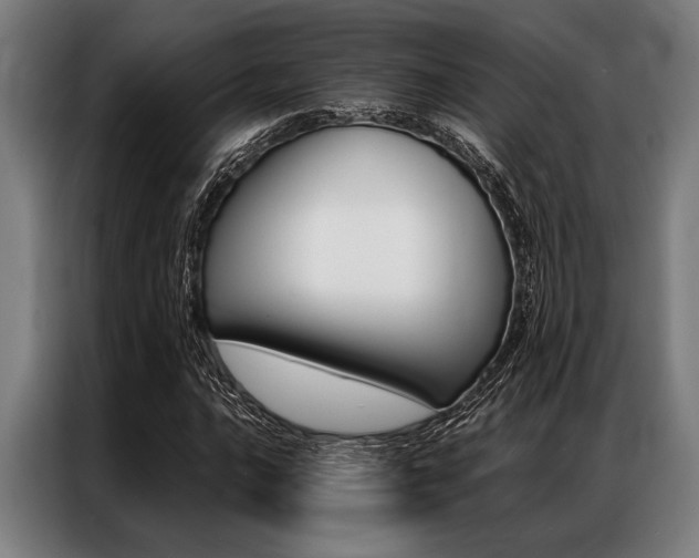 X0000087311016200704200713