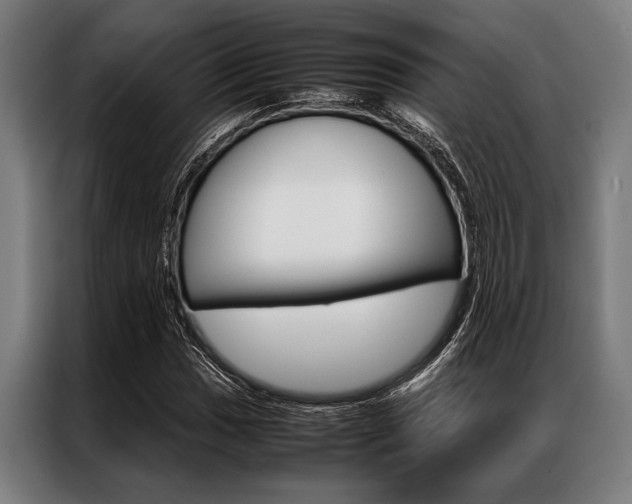 X0000087311017200704200713