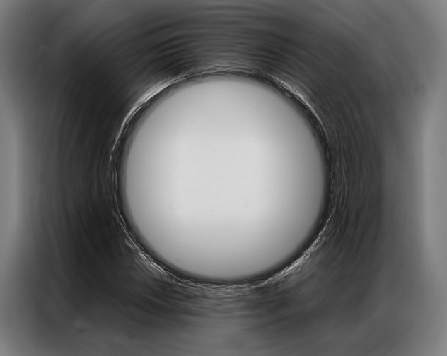 X0000087311018200704200713