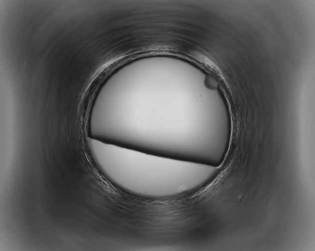 X0000087311019200704200713