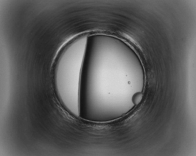 X0000087311021200704200713